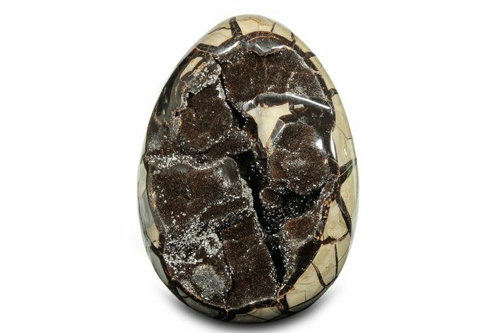 Septarian Dragon Egg Geode - Black Crystals #302863